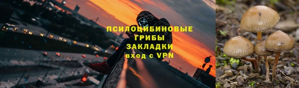 эйфоретик Алексеевка