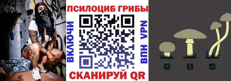 Галлюциногенные грибы Psilocybine cubensis  наркошоп  Дубна 