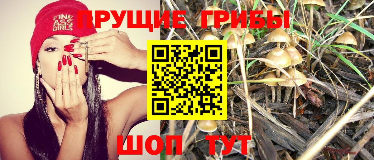 Галлюциногенные грибы прущие грибы  Вход с VPN  Дубна 