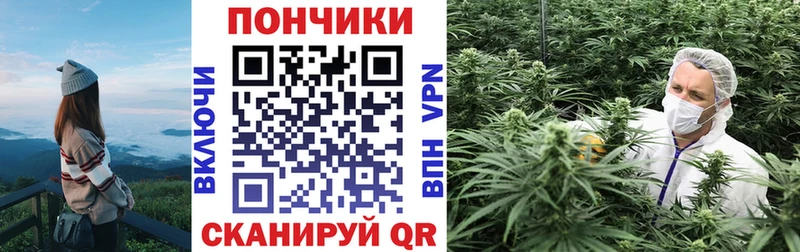 Конопля планчик цены Дубна